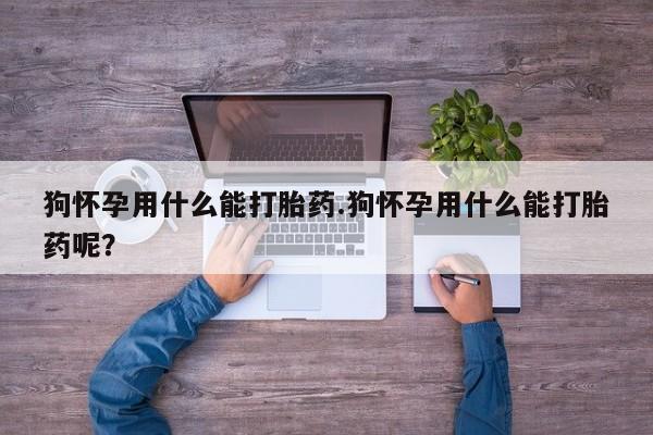 推荐个卖打胎药的联系方式，狗怀孕用什么能打胎药.狗怀孕用什么能打胎药呢？