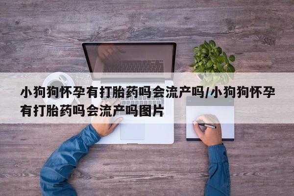 推荐个卖打胎药的联系方式，小狗狗怀孕有打胎药吗会流产吗/小狗狗怀孕有打胎药吗会流产吗图片