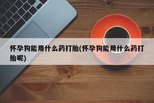 推荐个卖打胎药的联系方式，怀孕狗能用什么药打胎(怀孕狗能用什么药打胎呢)